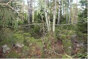 Västergötland-Norra Björke-Örnesvedjan 01