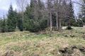 Dalsland-Ånimskog-Dalen I