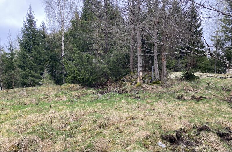 Fil:Dalsland-Ånimskog-Dalen I.jpg