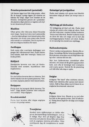 Dalsland-Ånimskog-Byabladet-Nr-19-1991 3.jpg