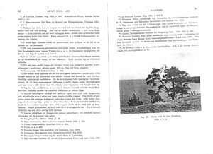 Dalsland-Bolstad-Dalaborg-Hembygden1940-21.jpg