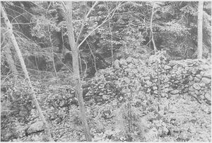 Dalsland-ånimskog-stenmarkerud.jpg