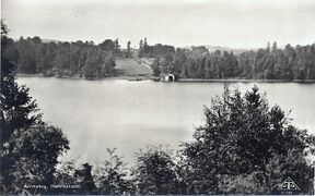 Vykort. Text: "Henriksholm. Ånimskog".