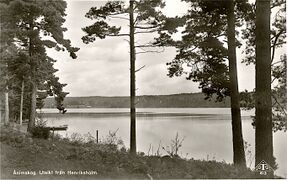 Vykort. Text:"Ånimskog. Utsikt från Henriksholm".