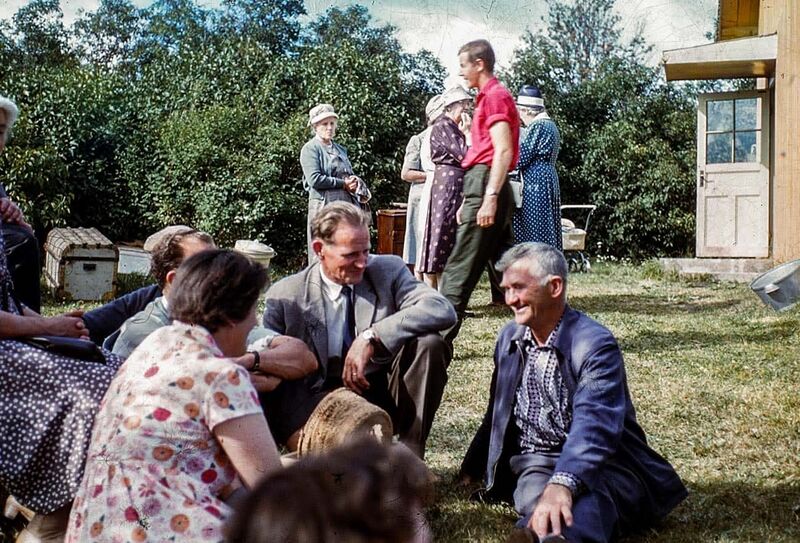 Fil:Dalsland-Ånimskog-Lågan auktion3.jpg