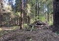 Dalsland-Ånimskog- Norra Trannehalsen