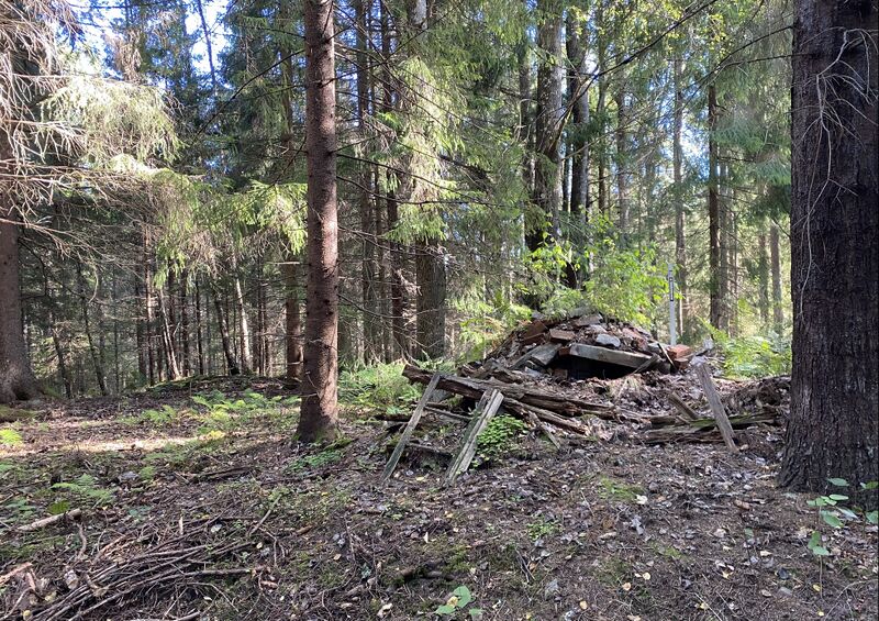 Fil:Dalsland-Ånimskog- Norra Trannehalsen.jpg