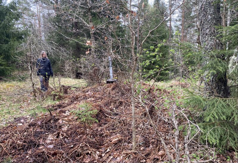 Fil:Blomsterholm, Kasen.jpg