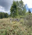 Dalsland-Ånimskog-Ö Berget Nedre Kilane 2025