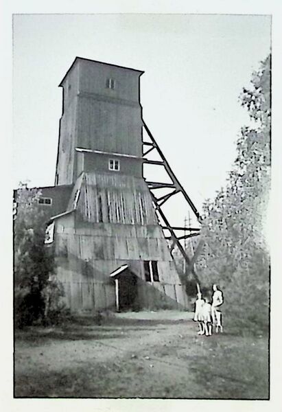 Fil:Dalsland-Fröskog-Laven.jpg
