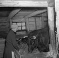 Östergötland-Åsbo-Åsen (Hultekil) 1958, Alva Malm 2
