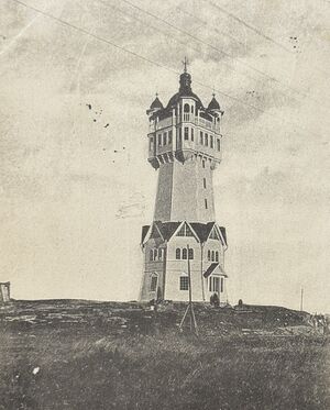 Östergötland-Borg och Löt-Hultet - Utsiktstornet 1903.jpg