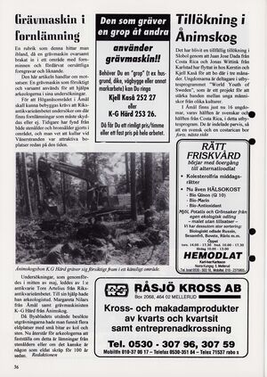 Dalsland-Ånimskog-Byabladet-Nr-30-1994 36.jpg