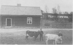Dalsland-ånimskog-sunnetorpet.jpg