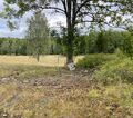 Dalsland-Ånimskog-Södra Berget Nedre Kilane