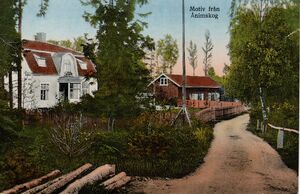 Dalsland-Ånimskog-VykortMotivÅnimskog.jpg