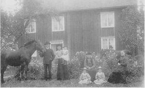 Dalsland-ånimskog-näs2.jpg
