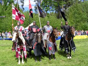 Dalaborg 700 år 6 juni 2004-20.jpg