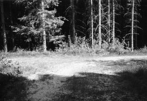 Dalsland-Edsleskog-Nilsbyn.jpg