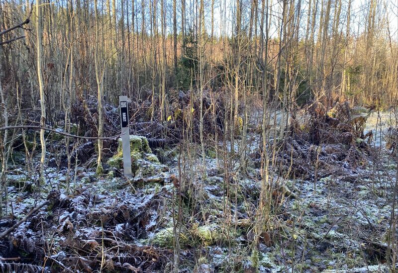 Fil:Dalsland-Ånimskog-Haget Anolfsbyn.jpg