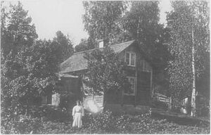 Dalsland-ånimskog-kasa (vingnäs).jpg