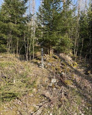 Dalsland-Ånimskog-Skinnmyren Djupslund.jpg