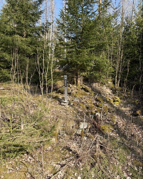 Fil:Dalsland-Ånimskog-Skinnmyren Djupslund.jpg
