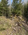 Dalsland-Ånimskog-Skinnmyren Djupslund