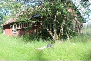 Västergötland-Norra Björke-Linnebacken1 01.JPG