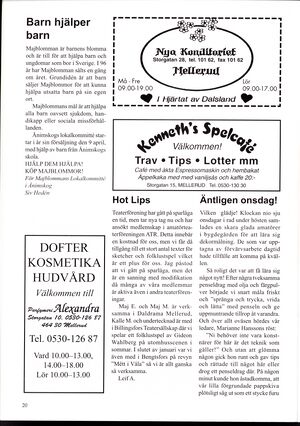 Dalsland-Ånimskog-Byabladet-nr-64-2003 20.jpg