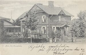 Östergötland-Borg och Löt-Villa Borg.jpg