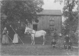 Dalsland-ånimskog-halvorskerud2.jpg