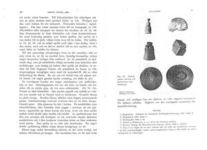 Dalsland-Bolstad-Dalaborg-Hembygden1940-20.jpg