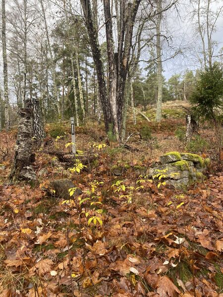 Fil:Dalsland-Ånimskog-Kärrsdalen.jpg