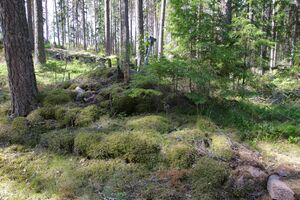 Småland-Vena-Samuelstorp 2026.JPG