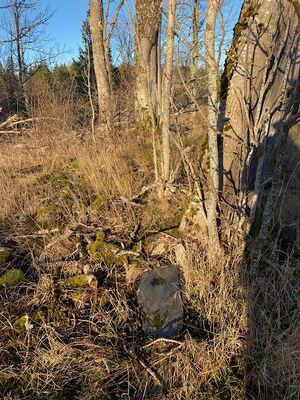 Inventering av torpet Dalarna I i Nedre Lilane, Ånimskog i dec 2024.