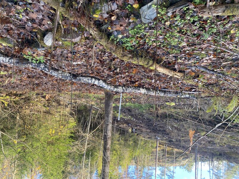 Fil:Dalsland-Ånimskog-Kerstan III.jpg