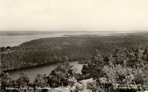 Vykort. Text: "Ånimskog. Utsikt från Vingenäsbergen".