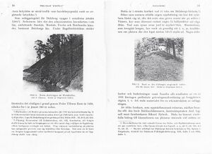 Dalsland-Bolstad-Dalaborg-Hembygden1934b.jpg