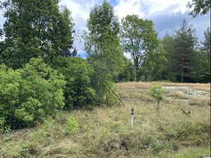 Dalslans-Ånimskog-Västra Berget Nedre Kilane 2025.jpg