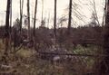 Västergötland-Väne-Åsaka-210220 046