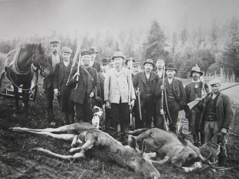 Fil:Älgjakt vid Nora Sågen 1910.JPG