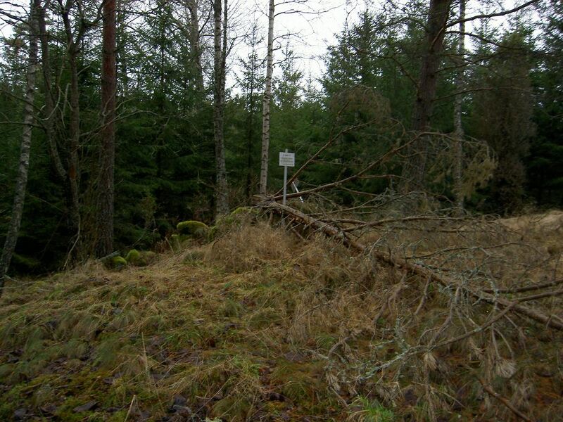 Fil:Östergötland-Åsbo-Ängsäter (Kvarnkulla) omgivning.jpg