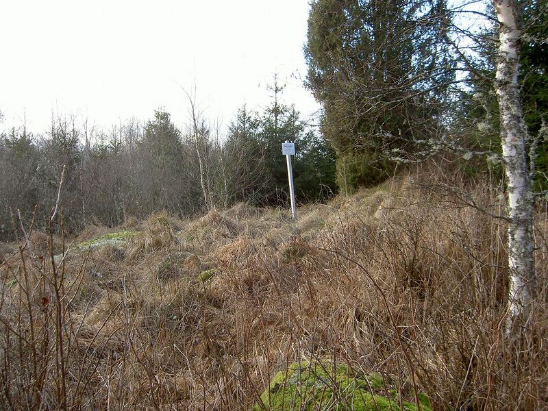 Fil:Östergötland-Åsbo-Åmanshemmet vy.jpg