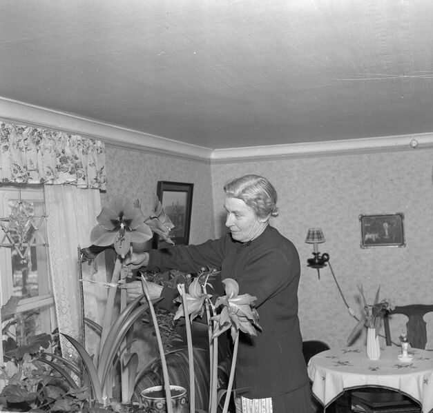 Fil:Östergötland-Åsbo-Åsen (Hultekil) 1958, Alva Malm 5.jpg