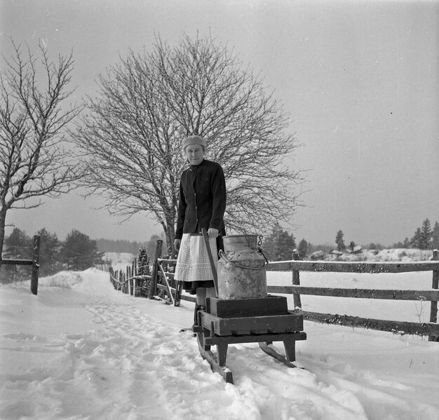 Fil:Östergötland-Åsbo-Åsen (Hultekil) 1958, Alva Malm 6.jpg