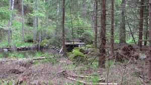 Östergötland-Åsbo-Åstugan (Lindhult) Bro 2020.jpg