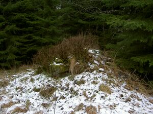 Östergötland-Åsbo-Åstugan 2 (Lindhult) Husgrund.jpg