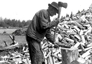 Östergötland-Åsbo-August i Lindkullen.jpg