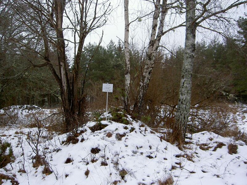Fil:Östergötland-Åsbo-Bäcken (Ettringstorp) vy.jpg